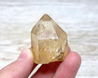 Congo Citrine #8
