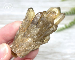 Congo Citrine #14