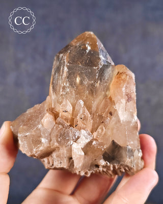Natural Congo Citrine Crystal in hand
