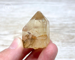 Congo Citrine #8