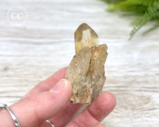 Congo Citrine #7