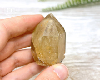 Congo Citrine #19