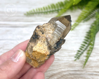 Congo Citrine #8