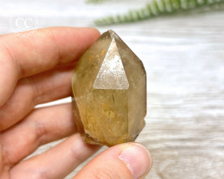 Congo Citrine #19