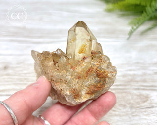 Congo Citrine #7