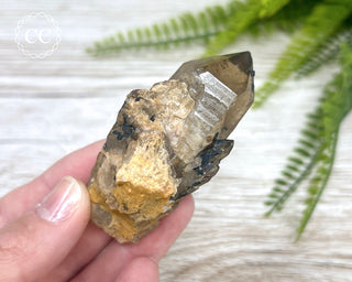 Congo Citrine #8