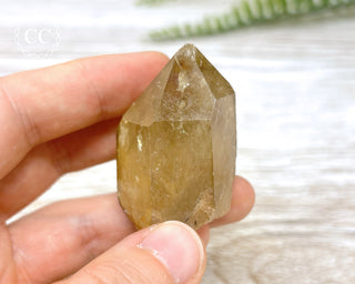 Congo Citrine #19