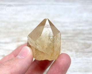 Congo Citrine #8