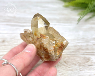 Congo Citrine #7