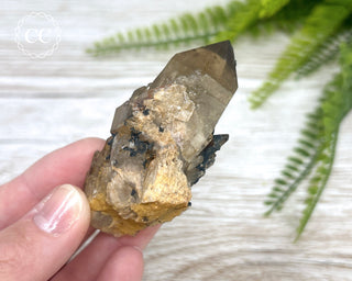 Congo Citrine #8