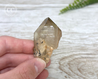 Congo Citrine #12