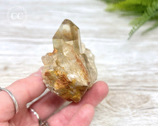 Congo Citrine #7