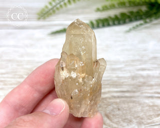 Congo Citrine #16
