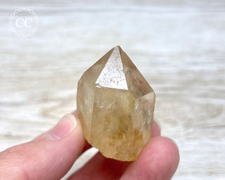 Congo Citrine #8