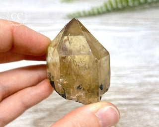 Congo Citrine #20