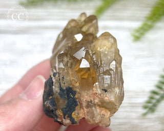 Congo Citrine #4