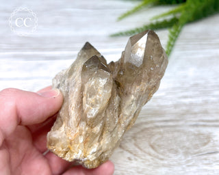 Congo Citrine #4