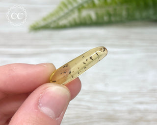 Madagascar Copal with Insects Specimen #8