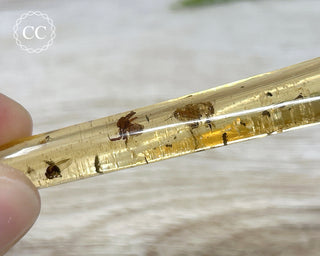 Copal with Insects Madagascar #2