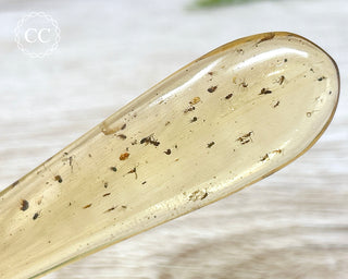 Copal with Insects Madagascar #2