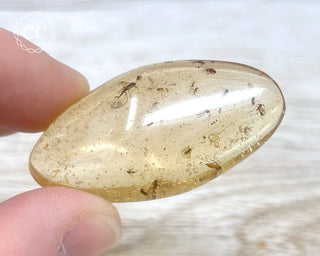 Madagascar Copal with Insects #5