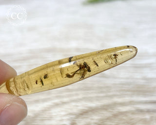 Copal with Insects Madagascar #21