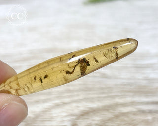 Copal with Insects Madagascar #21