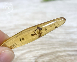 Copal with Insects Madagascar #21