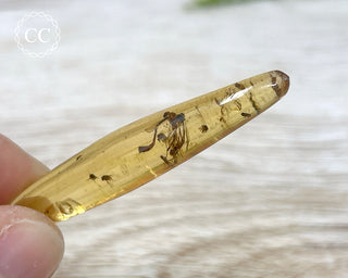 Copal with Insects Madagascar #21