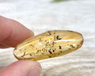 Copal with Insects Madagascar #22