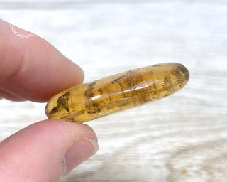 Madagascar Copal with Insects #1