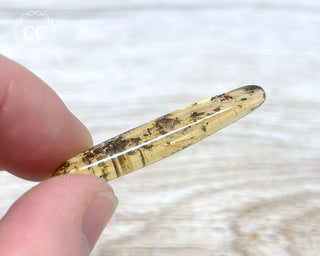 Madagascar Copal with Insects #7