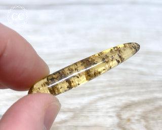 Madagascar Copal with Insects #7