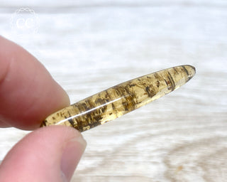 Madagascar Copal with Insects #7