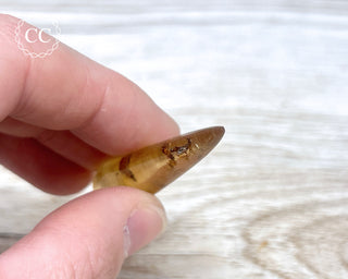 Madagascar Copal with Insects #8