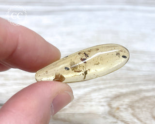 Madagascar Copal with Insects #10