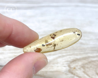 Madagascar Copal with Insects #10