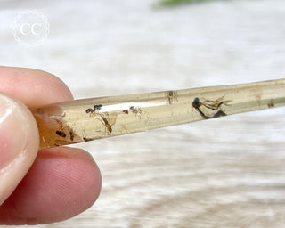 Copal with Insects Madagascar #1