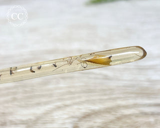 Copal with Insects Madagascar #1
