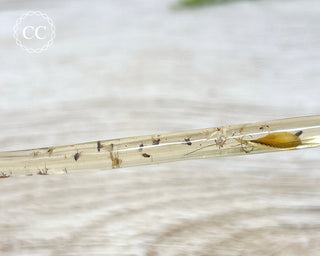 Copal with Insects Madagascar #1