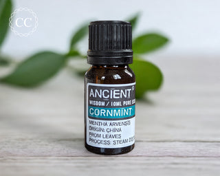 Cornmint Essential Oil on table