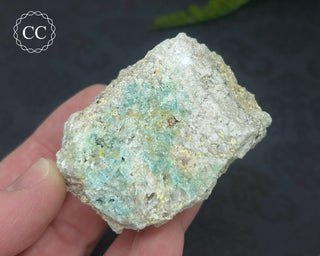 Cornwall Turquoise #1