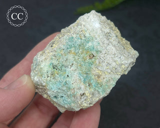 Cornwall Turquoise #1