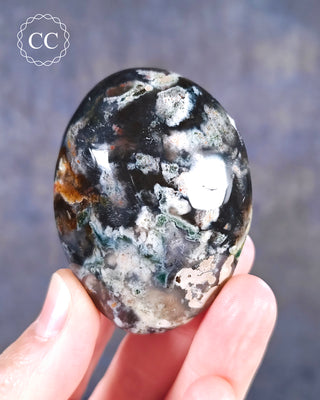 A hand holding an Ocean Jasper Palmstone from Madagascar