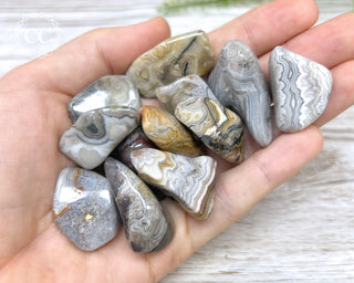 Crazy Lace Agate Tumbled Crystals in hand