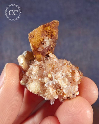 A hand holding a Creedite specimen from Mexico with well formed needle crystals