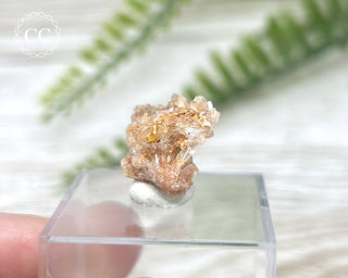 Creedite Specimen #1