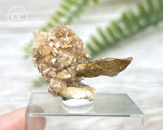 Creedite Specimen #2