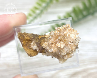 Creedite Specimen #2