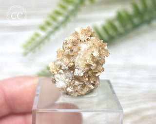 Creedite Specimen #2